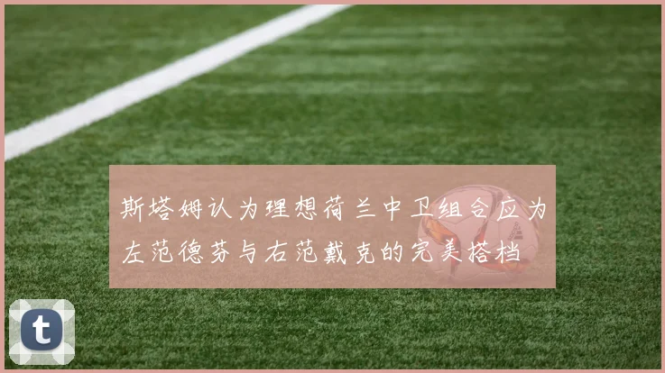 斯塔姆认为理想荷兰中卫组合应为左范德芬与右范戴克的完美搭档